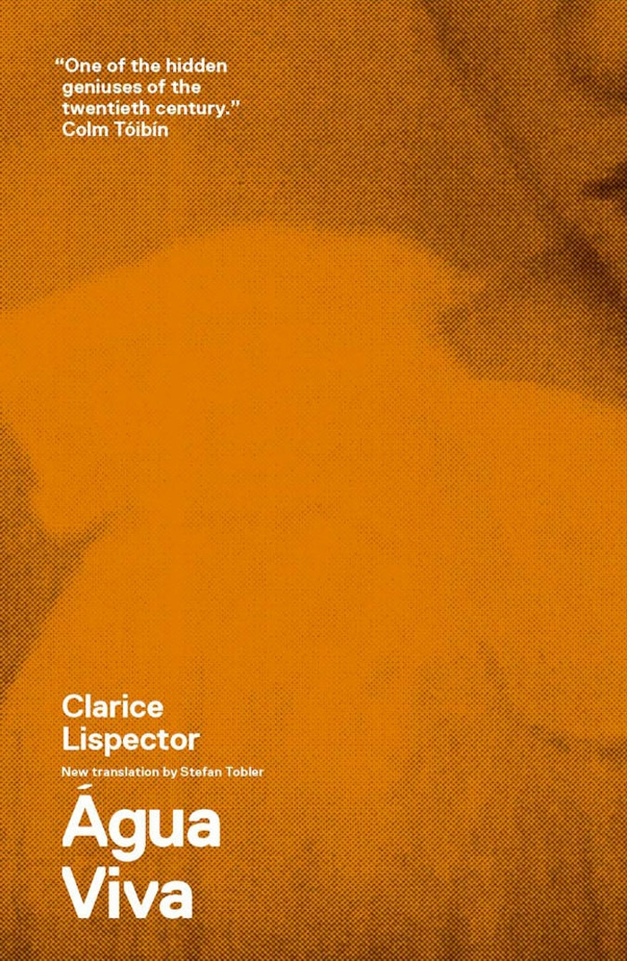 book cover of água viva, by clarice lispector